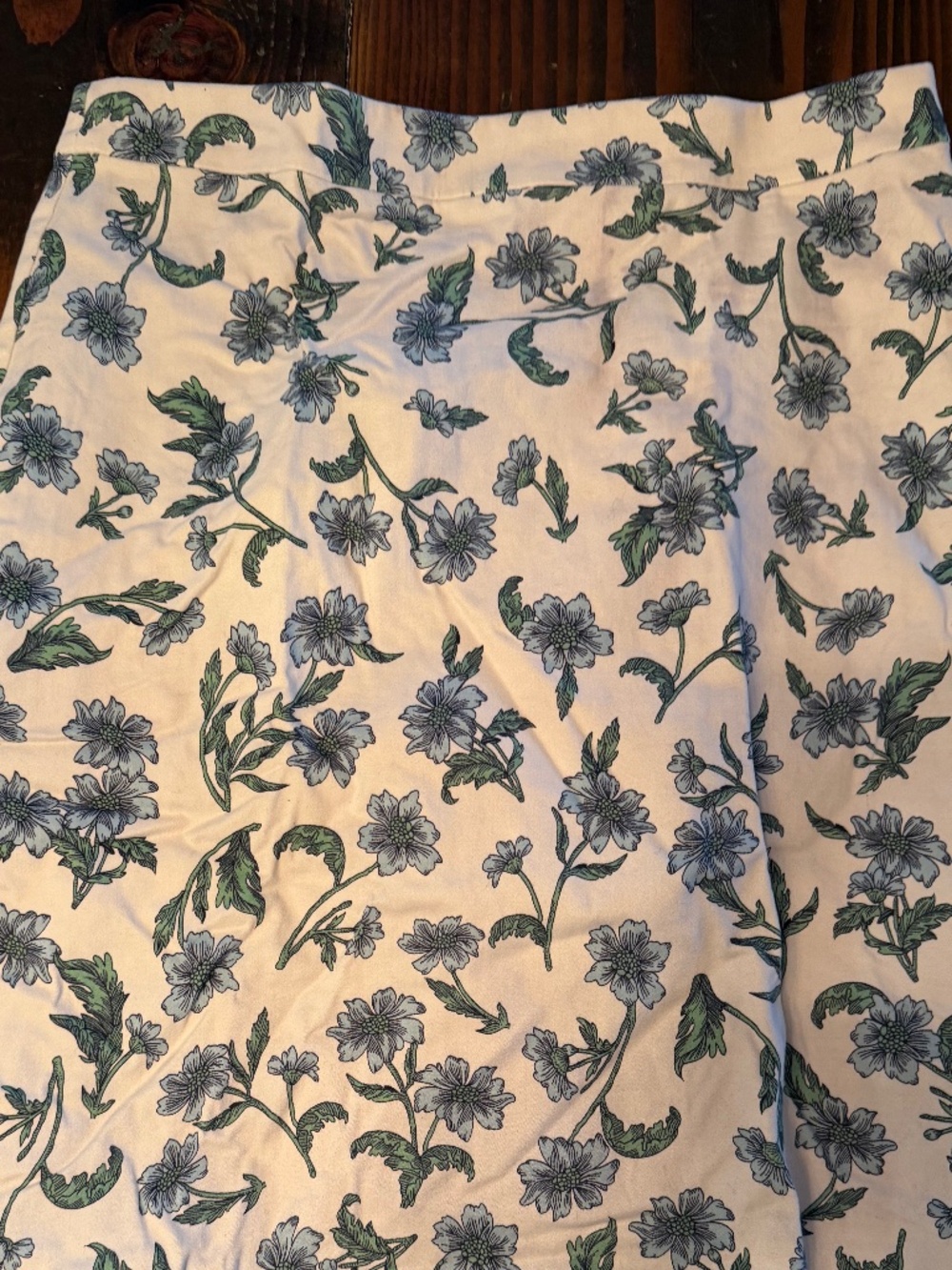 J Crew Skirt - Size 0